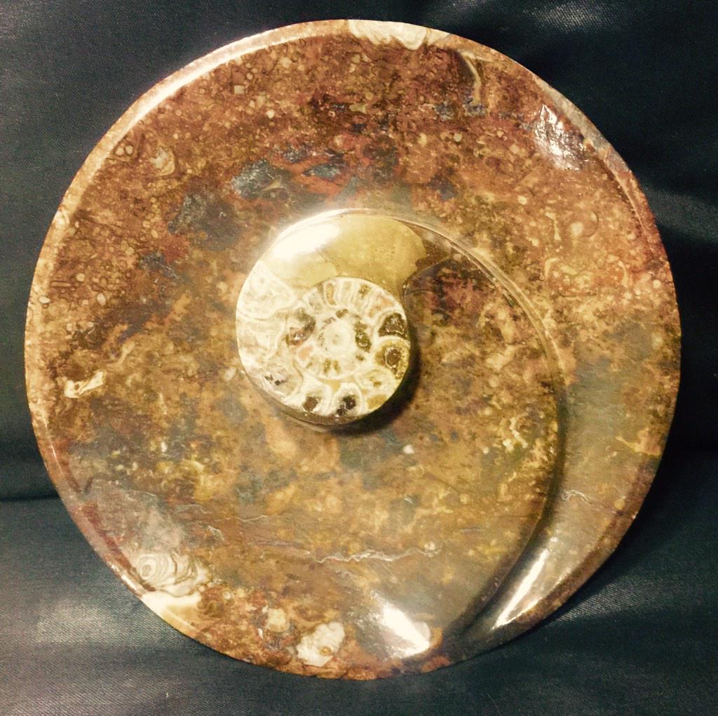SpiritCove1's tweet photo. Genuine Ammonite plates are in stock at Spirit Cove, Manalapan, NJ http://t.co/GblFW1OmXp