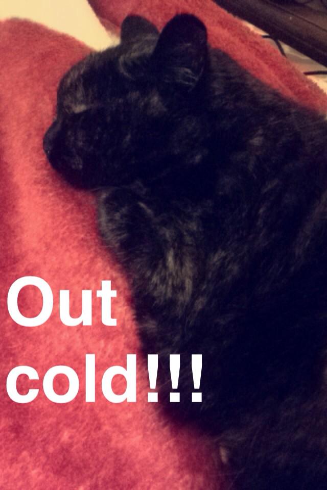 ashtonm2's tweet image. This lil nugget all tuckered out! #bandageremoved #smallsuccess