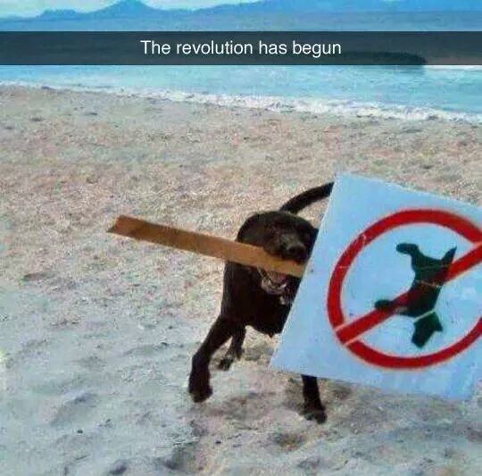 MensHumor's tweet photo. The revolution has begun! http://t.co/x994ItOKdu