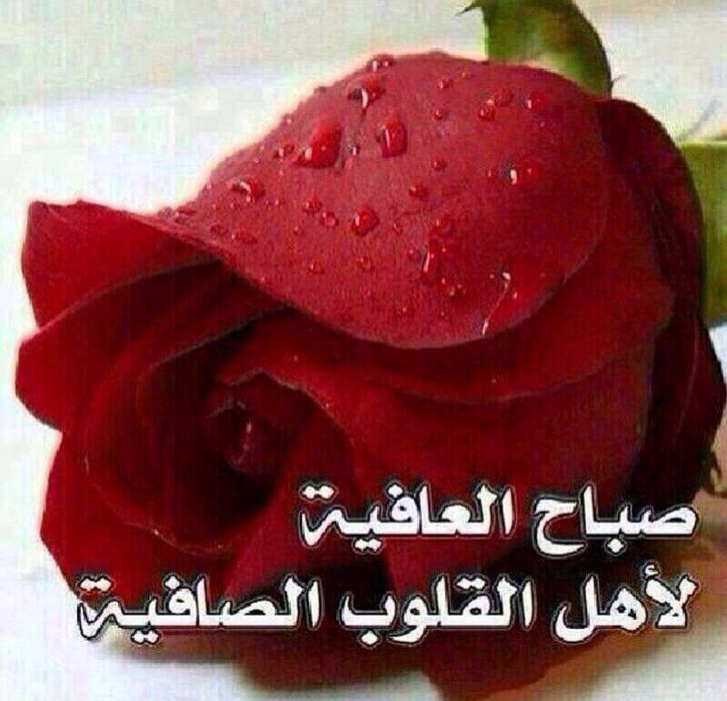 Mansour_AlHIL's tweet photo. يلقاني اكبر من تواصيف حرفه
والقاه اكبر من شعوري ونبضي
لا لامست كفي من الشوق كفه
انطق بدون شعور يا كبر حظي http://t.co/4ycWc8JilI