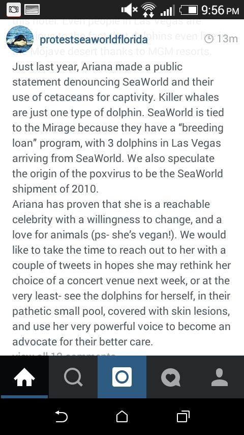 EPdirectioners's tweet photo. Guys help me tweet @ArianaGrande we need to help #boycottseaworld #anticaps #FreeTilly http://t.co/UtaD6pbN4b