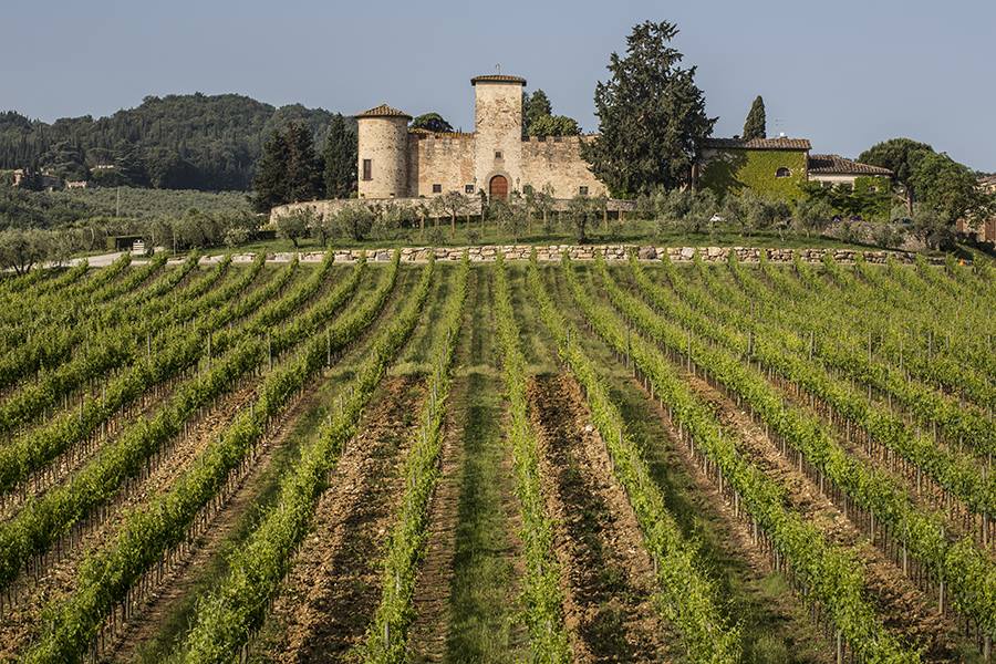 Terremoto Oggi Toscana: Le colline del Chianti continuano a tremare (Firenze-Siena) 1 B44 prCCcAEgF1C