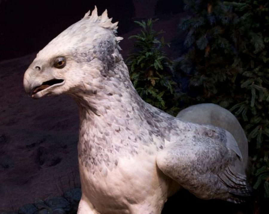 le_Parisien's tweet photo. «Harry Potter : l’exposition» arrive en France >>http://t.co/b8r014MMoW #HarryPotter http://t.co/dz7TX3Uelh