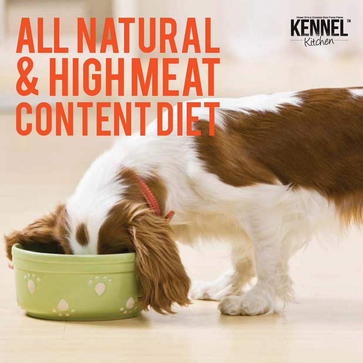 KennelKitchen's tweet photo. An all natural &amp; high meat content diet for your mutt! Choose the Kennel Kitchen diet today! #petfood #dogs #doglover http://t.co/pdc2QMeqzF