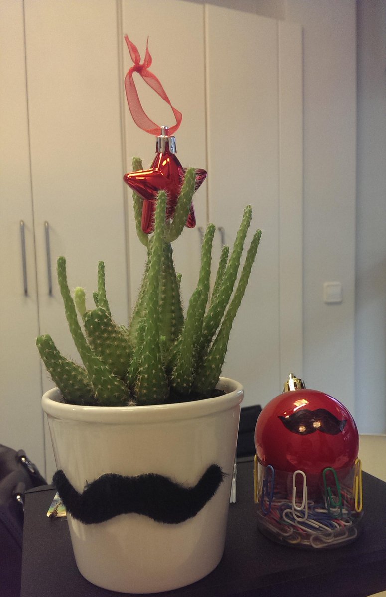 supongo_es's tweet photo. Hemos tardado un rato en sacar la foto porque no paraba de moverse, pero aquí tenéis al Sictus más navideño! http://t.co/9fze48vARb