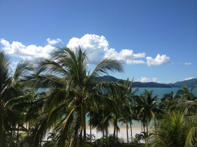 HusonTyler's tweet image. My view#hamiltonisland