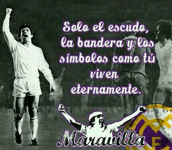 franlucamara tweet picture