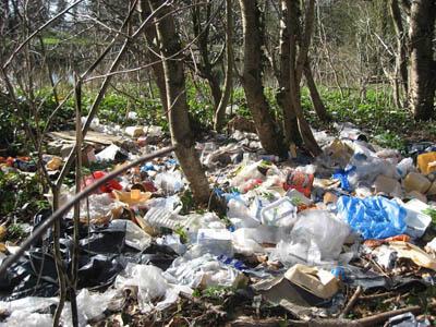 Envirowise_WML's tweet photo. Keep SD clean,it doesnt need you to add onto its problems with your 'unmanaged' waste #recycletoday4abettertomorrow http://t.co/MYcNtvZ9Ri