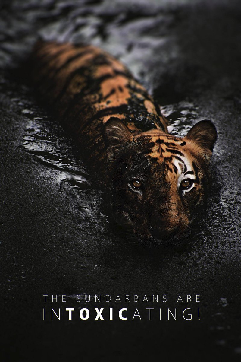 The time to act is now: #saveBangladesh #saveSundarbans #stopRampal
[N.B. it's a digital painting, not a real photo]