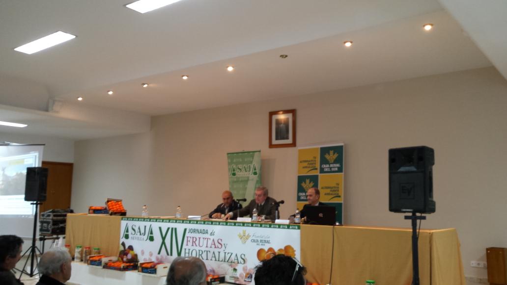 SanSebasCoop's tweet photo. Damos comienzo a XIV  JORNADA de Frutas y Hortalizas http://t.co/GFmFETvt8V
