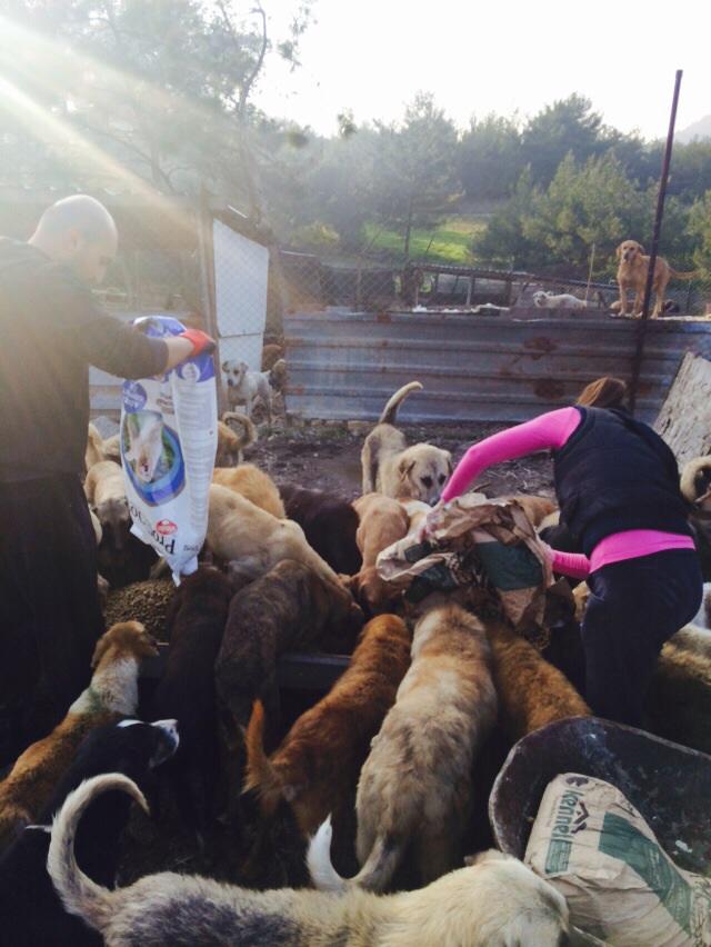 BU HAFTA 5.KEZ ŞOPENGAZİ BARINAĞINDAYDIK
İLK HAFTA 13 KİŞİ OLAN SAYIMIZ 40'I GEÇTİ :)
DESTEK VERENLERE TEŞEKKÜRLER