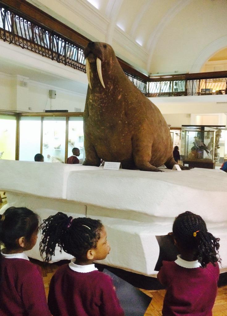 Embedded image permalink