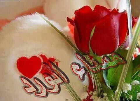 89alsadiAhmad's tweet photo. مساء الخير على احبتي http://t.co/MRtilmpbqd