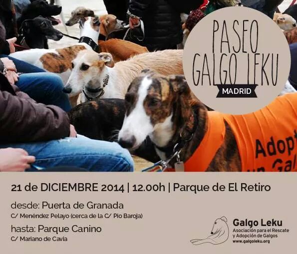 galgoleku's tweet photo. MADRILEÑOS!! Ya tenemos fecha para el paseo GALGOLEKU será el domingo 21 de Diciembre en el parque de @_ElRetiro http://t.co/TmFE65pEVS