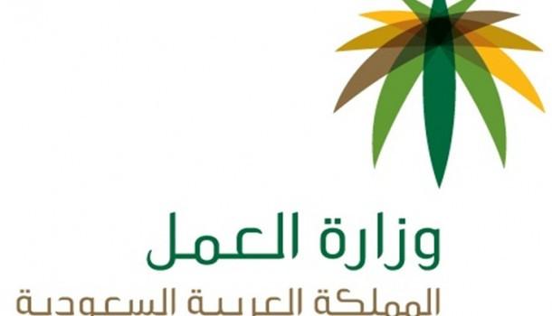 aleqtisadiah's tweet photo. "العمل" تصدر قرار "العمل عن بعد".. وضوابط لتنظيم عمل المرأة في المراكز التجارية المغلقة http://t.co/bHMCD0DlY6 http://t.co/JGJGScyvVc
