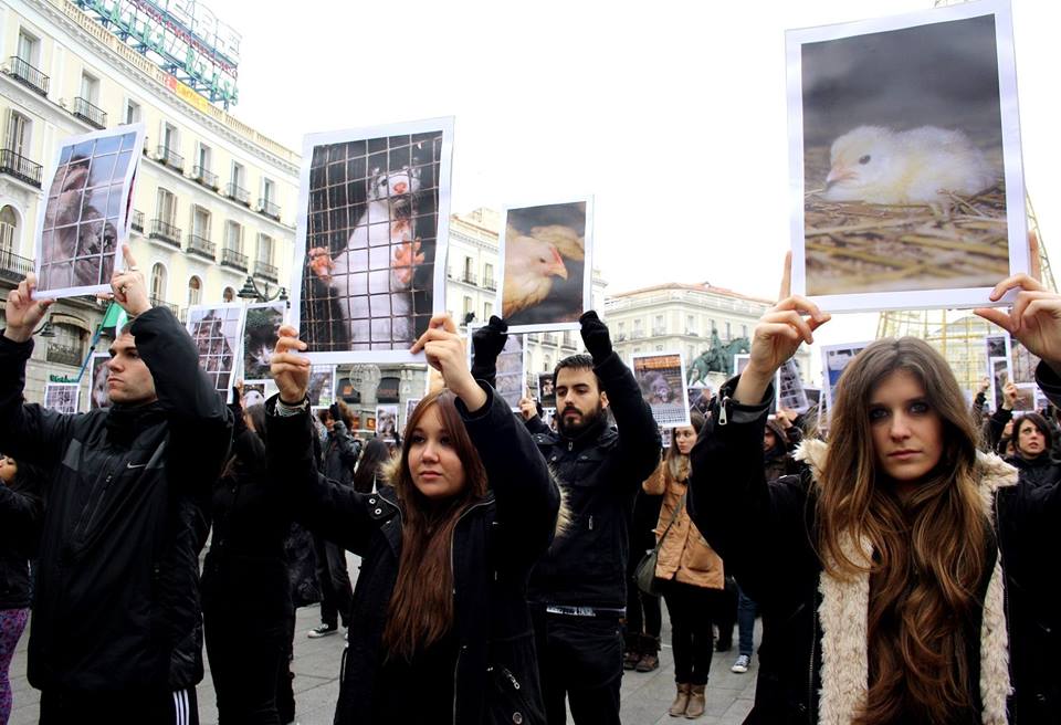 jjaviervazquez's tweet photo. Cada día somos más los que nos movilizamos de alguna manera contra el maltrato animal http://t.co/34rHfQw7Sg http://t.co/Gs1qEogAtm