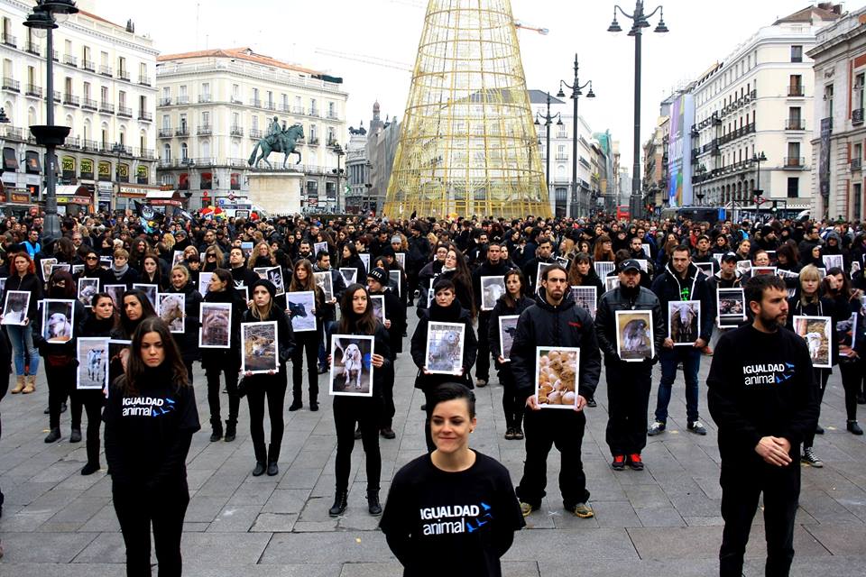 jjaviervazquez's tweet photo. Cada día somos más los que nos movilizamos de alguna manera contra el maltrato animal http://t.co/34rHfQw7Sg http://t.co/Gs1qEogAtm
