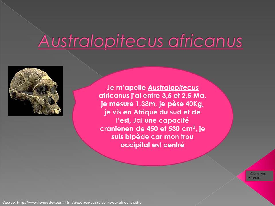 TankeuJP's tweet photo. Carte d'identité de l'Australopitecus africanus vous avez intéret a regarder ! 
#fossile #AFRICAIN #tweeteTsvt #Suger http://t.co/jarkyunq1X
