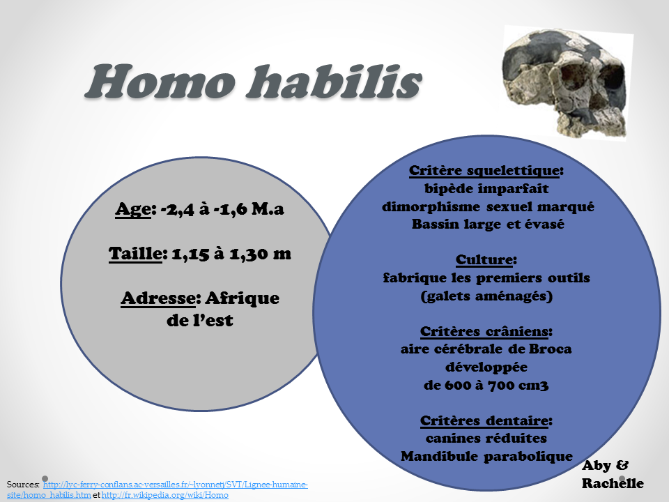 TankeuJP's tweet photo. Voilà une magnifique carte d'identité by Abby&amp;Rachelle ---> #tweeteTsvt #Lyceesuger http://t.co/oyNY5HvoJ3