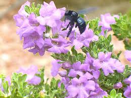 jorgesassiOK's tweet image. ¡¡¡ Buen Día Amigos !!!