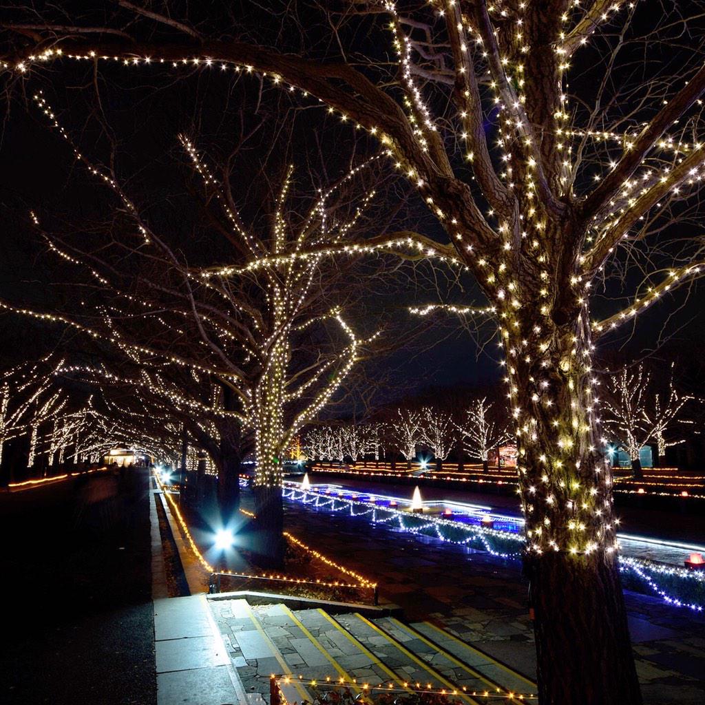 moonlightice's tweet photo. Showa Commemorative National Government Park. Tokyo 昭和記念公園 http://t.co/Lls5TDipLe
