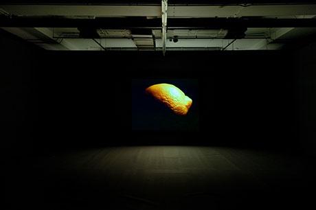 llefeuvre's tweet image. Next Monday Event Sculpture 4 @HMILeeds:  Simon Martin re-processes Hollis Frampton's 'Lemon': enews.henry-moore.org/enews/eflyer/t…