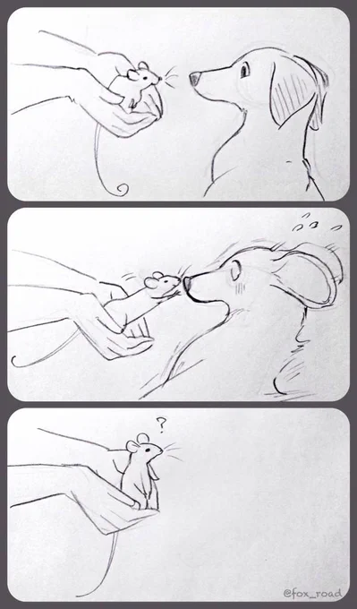 我が家のネズミと愛犬。落書き。 