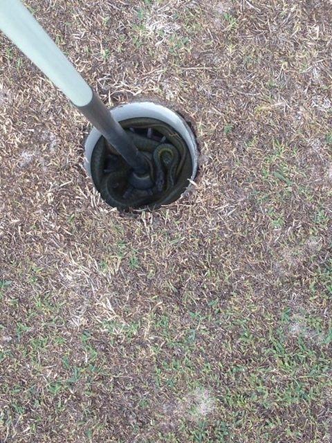 GolfDigest's tweet photo. Monday mornings. http://t.co/WMCRrXsazr