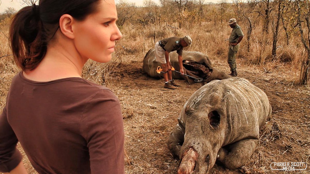 STROOP_film's tweet photo. What will we do when they're all gone? Will we still fumble asking questions? or will we do something NOW? #rhino http://t.co/rQpPHMI1Fw