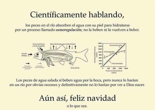 Veterinariadas's tweet photo. Feliz navidad a todos, pero de una manera mucho más científica!!! #VeterinariaDigna http://t.co/PF1QUitsy8