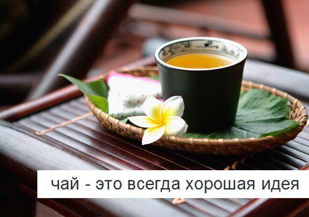 Sonya_Roden tweet picture
