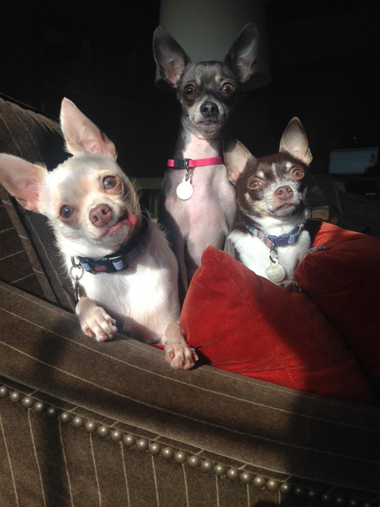 kaydwill's tweet image. What I do in my spare time