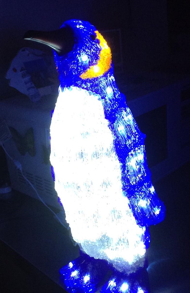 Noonies54's tweet photo. @Godzie88 #penguin #Footdee #Aberdeen #Northsea http://t.co/1m72AYdYBm