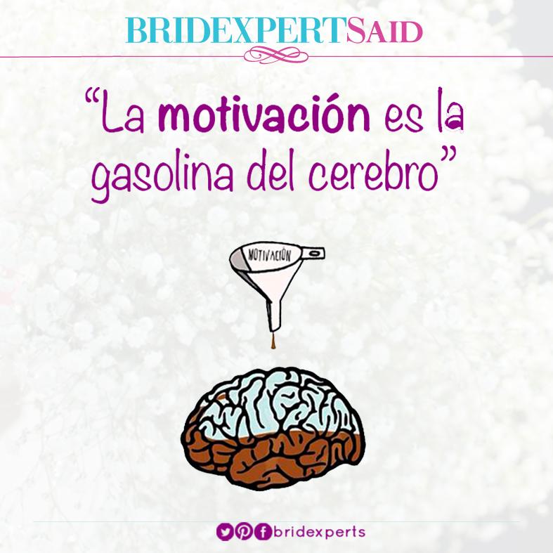 Bridexperts tweet media