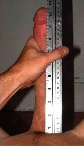 "@bigcockmeasured: http://t.co/A6yHmg69r8"   YES PLEASE??<a class="tags" href="/tag/bigcockmeasured">@bigcockmeasured</a>