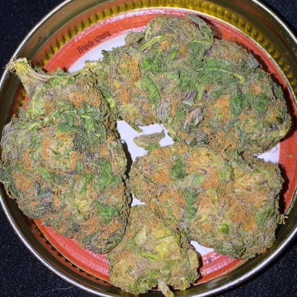 dailyloudpack's tweet image. Smoke this Killer 😍🔥🔥🔥 (Sour Girl Scout Cookies)