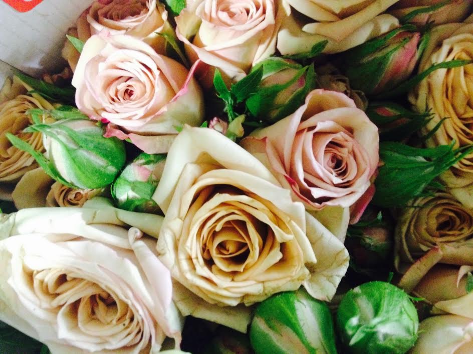 Flowerlink tweet media