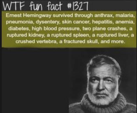 WEIRDEST FACTS (@the_lost_facts) on Twitter photo 