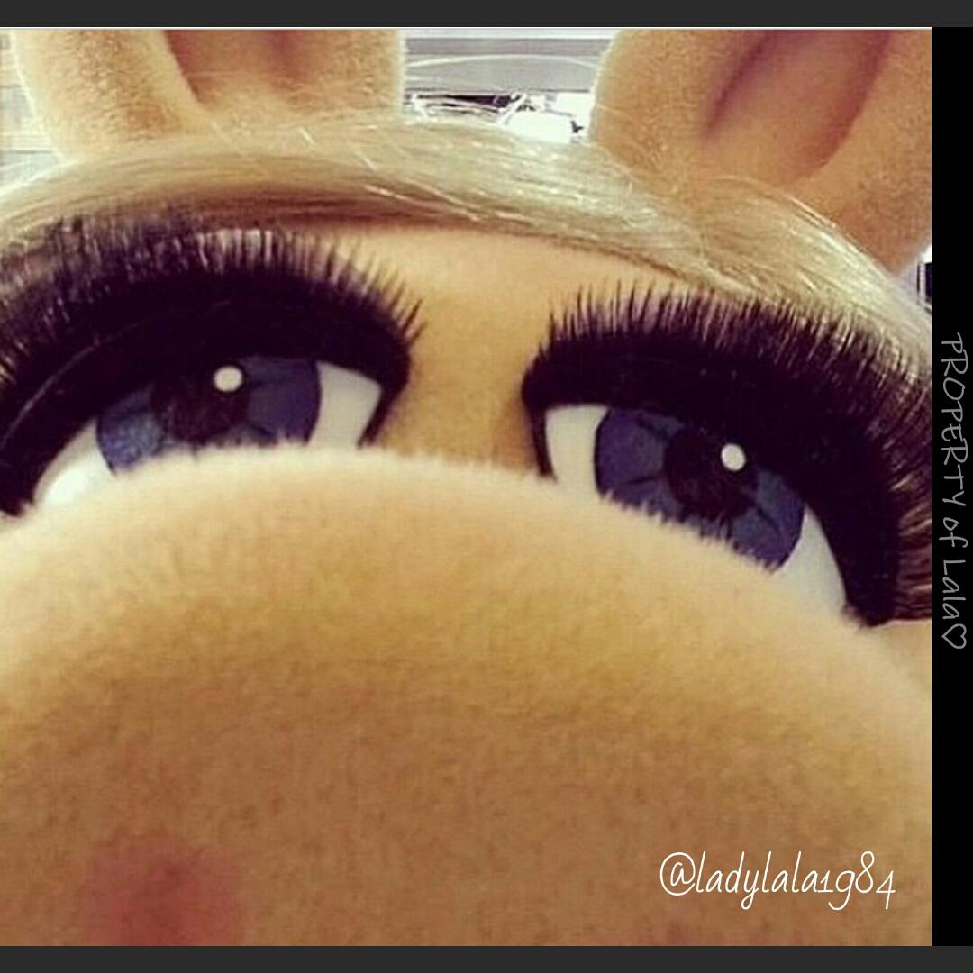 Selfie!! Miss Piggy in lashes♡♡