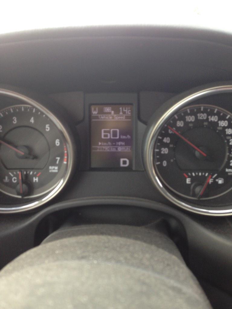 Nance2014Lester's tweet image. December 15th 14degrees!! #globalwarming #winterorspring #greenchristmas?