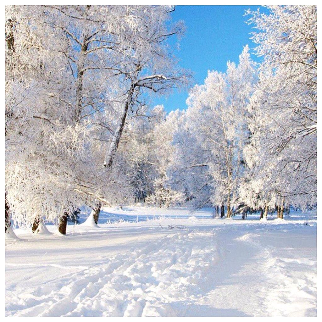 LAFOTKA's tweet photo. All I want for #Christmas is #SNOW... ❄️❄️❄️ #снег #pursuepretty #fashionblogger #winter #russiansnow #MotherNature http://t.co/XGz4ssZ46B