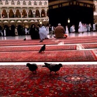 abos0ud's tweet photo. عندي نصيحة بختصرها فَ بيتِين

دام المصايـب كـل  ابوهَـا تهلي
ي مصعب الدنيا على تارك الدين

ويا مسهل الدنياعلى من يصلي http://t.co/nxYm0pv9OF