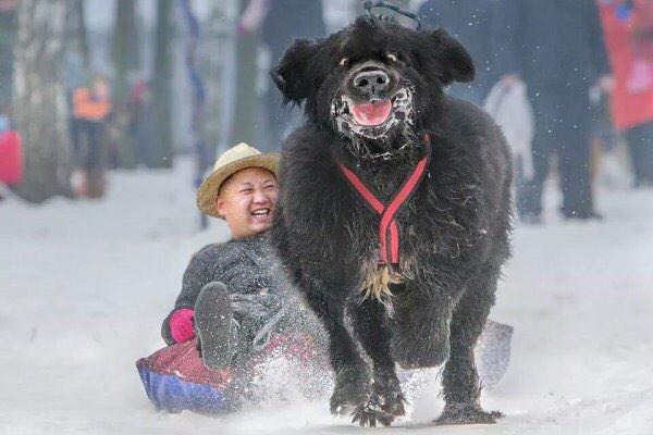 nickrob91's tweet photo. Haha made my Monday http://t.co/LBAI9h4j1Q