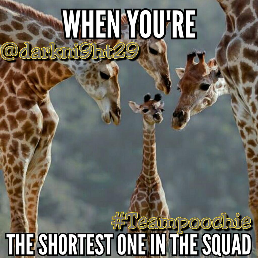 IlCheckMate's tweet image. It get old so fast 😁 #Teampoochie #shortproblems #worldstar #worldstarhiphop #nochill #bruh #rns #ongod