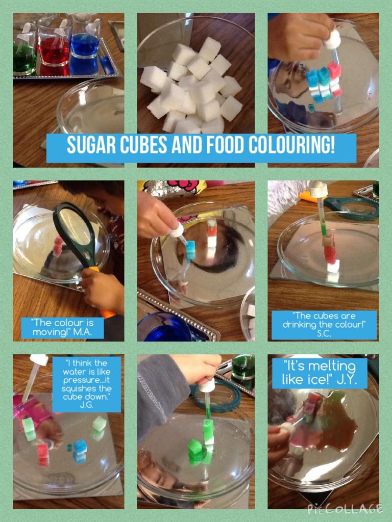 peelfdkmath's tweet image. MT“@Bolton_Luba: With ice melting outdoors, young scientists studied a little melting of a new variety inside... http://t.co/hnIqpdCPqQ”