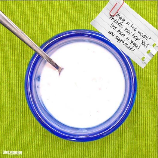 LifeExtension's tweet image. Do you take a probiotic supplement? trib.al/p7I4dhd #probiotics #weight