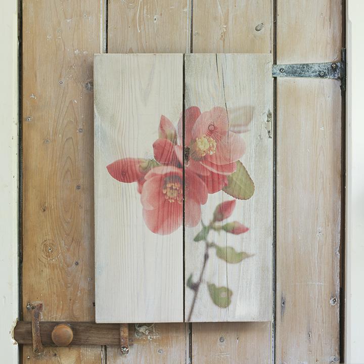DSchenckPhoto's tweet photo. The beauty of simplicity and  wood from old buildings brought back to life http://t.co/ZpOZ4dBgAc
 #TorbayHour http://t.co/IMxzcXOvRD