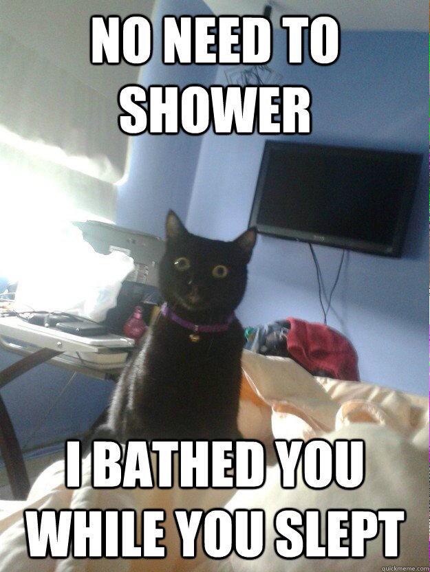 PetsDiscounts's tweet photo. Cats can be so helpful on busy Monday mornings. #feelingclean #funnycats http://t.co/vm70eV1tox