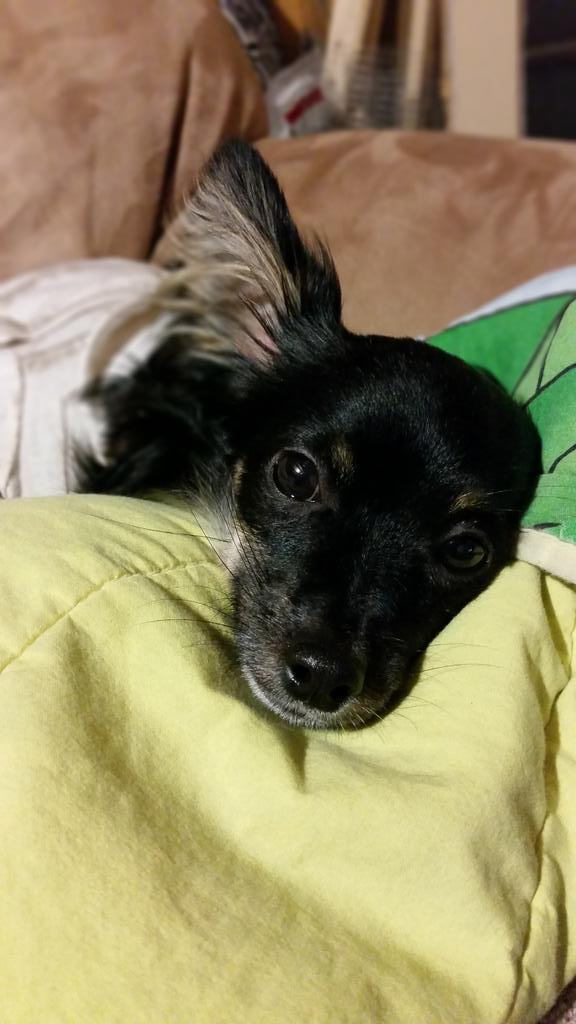 RiskAshley's tweet photo. 😢 http://t.co/cUMEsn8Szz