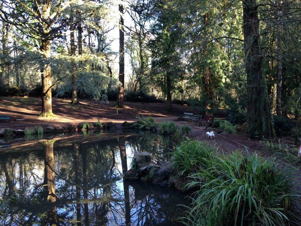 howellsgareth1's tweet photo. Cefn Onn park, Cardiff yesterday .......... http://t.co/YWXfuYwefW